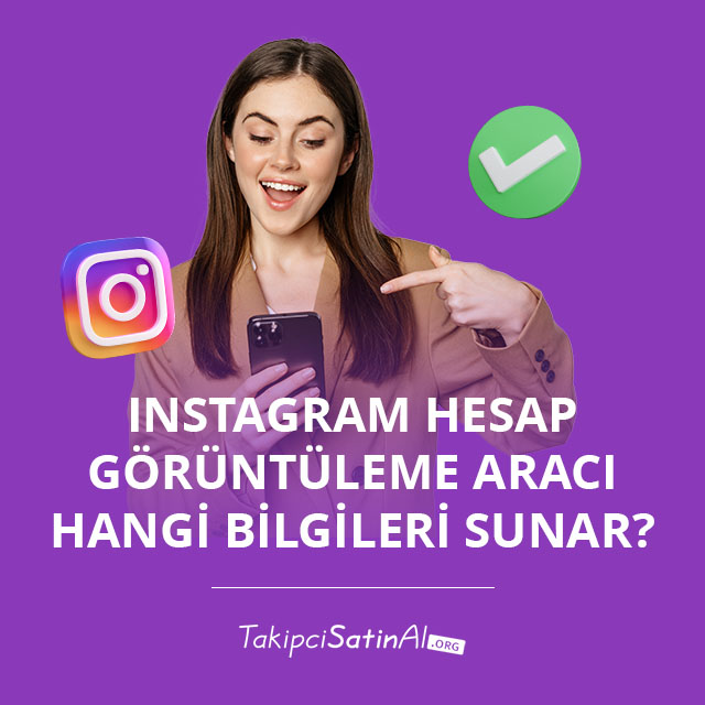 Instagram Hesap Görüntüleme Aracı Hangi Bilgileri Sunar?