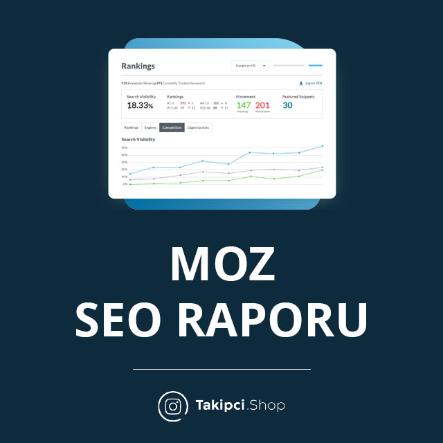 MOZ SEO Raporu 