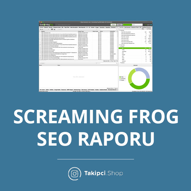 Screaming Frog SEO Raporu 